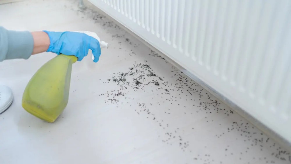 DOĞAL BÖCEK KOVUCULAR